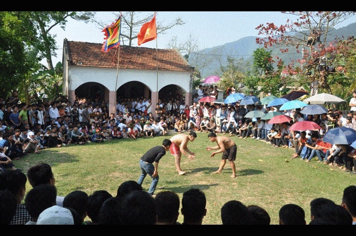 Hội vật nổi tiếng nhất Vĩnh Phúc có thể bị huỷ vì virus corona